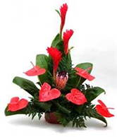 flowers 7