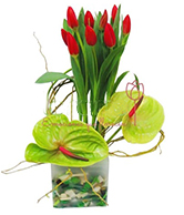 floral 8
