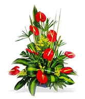 flowers 2