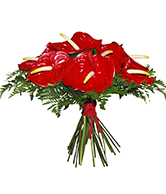 flower set 6