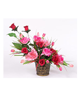 flowers 7