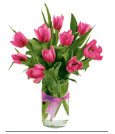 flower set 6