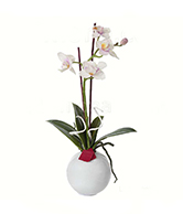 flowers 2