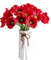 flowers 7