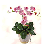 flower set 6