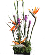 flowers 7