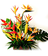 floral 8