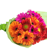 flowers 7