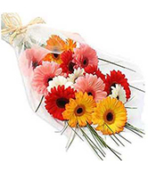 flower set 6