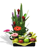 flowers 7