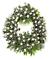 flowers 7