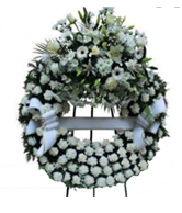 flowers 2