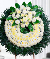 floral 8
