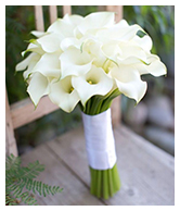 flowers 7