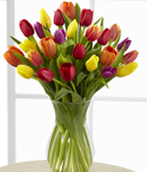 flower set 6