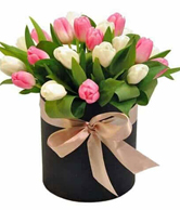 floral 8