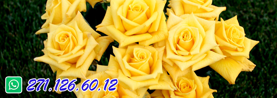 slider image 1