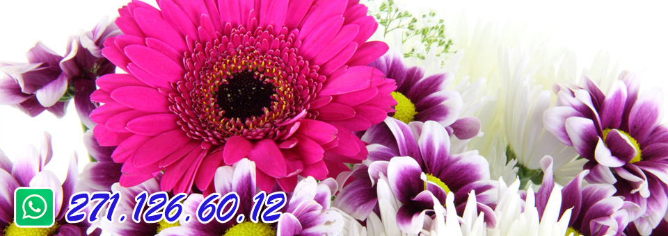 slider image 2