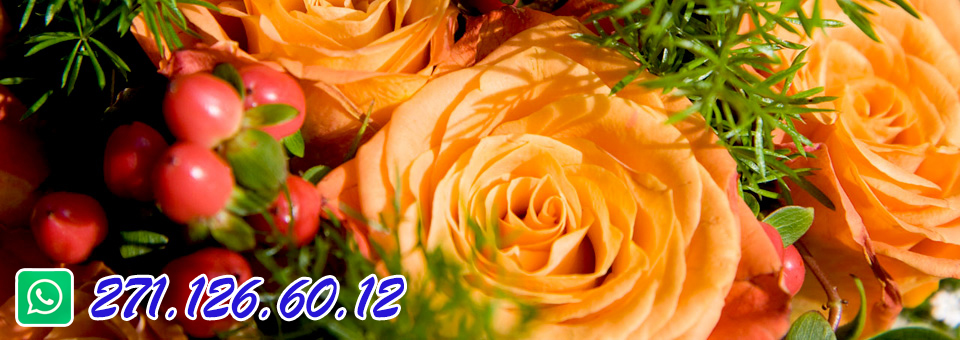 slider image 3