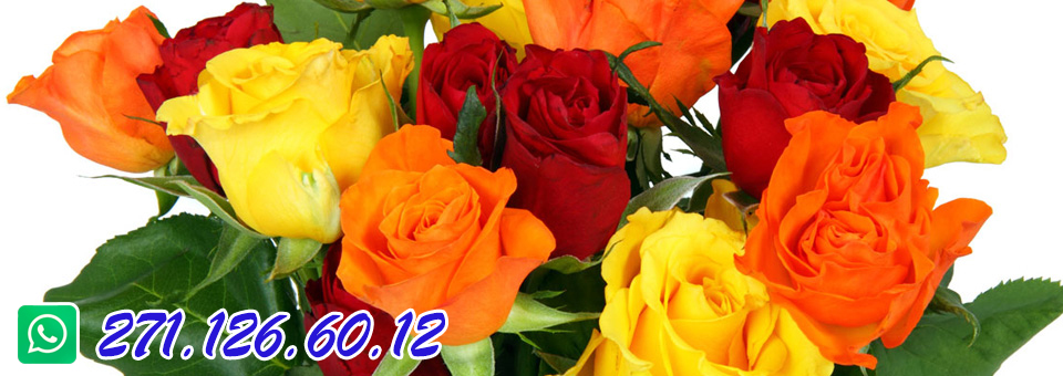 slider image 4