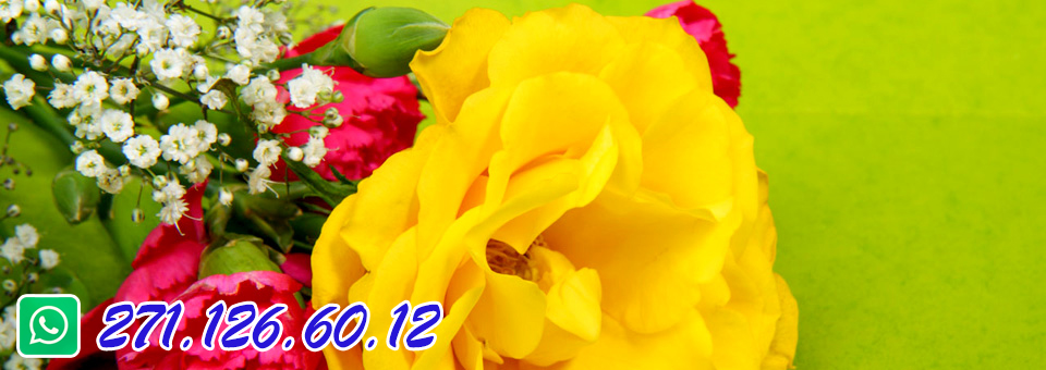 slider image 5