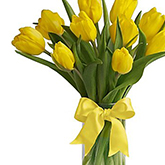 flowers 2