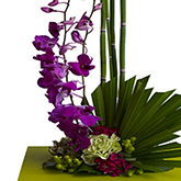 floral 3