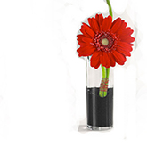 floral 8